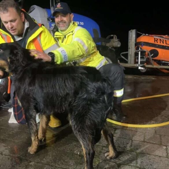 Rescue workers petting dog near lifeboat at night.
