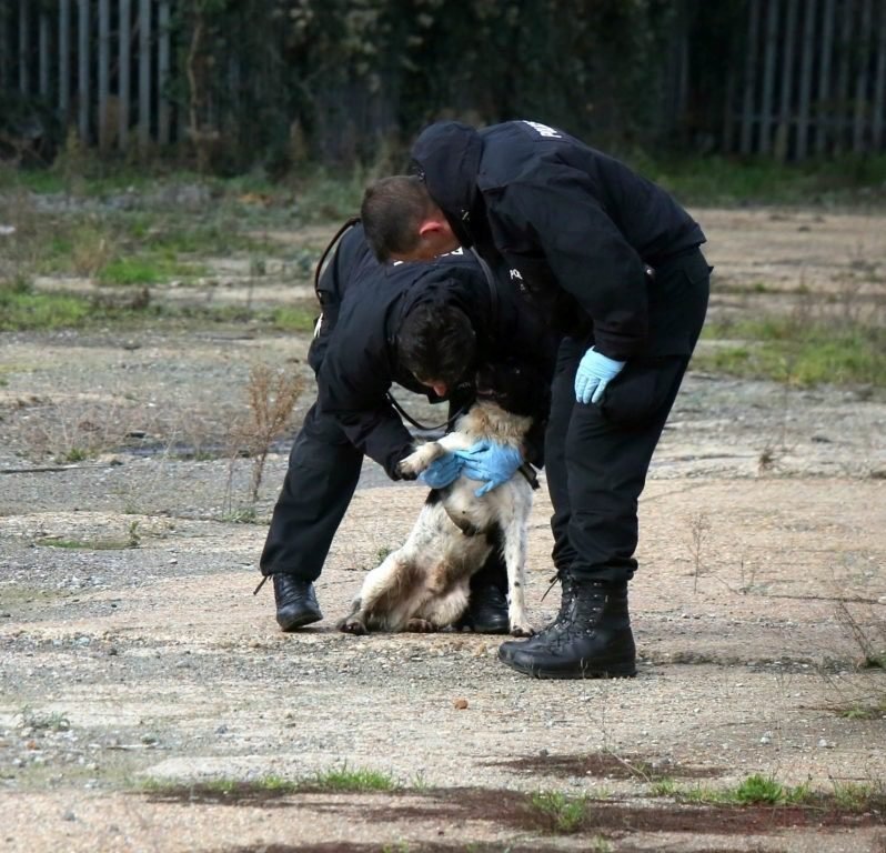 Police Arrest 28 Year Old Man  For Murder Of 44 Year Old Man In Northfleet