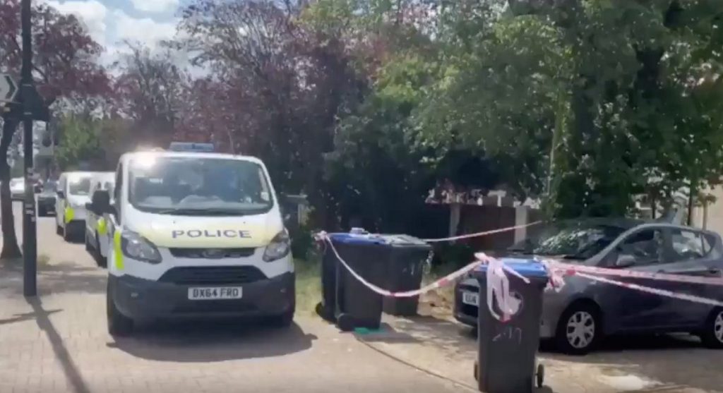 A Woman Charged With Baby Death In Harrow Remanded In Custody