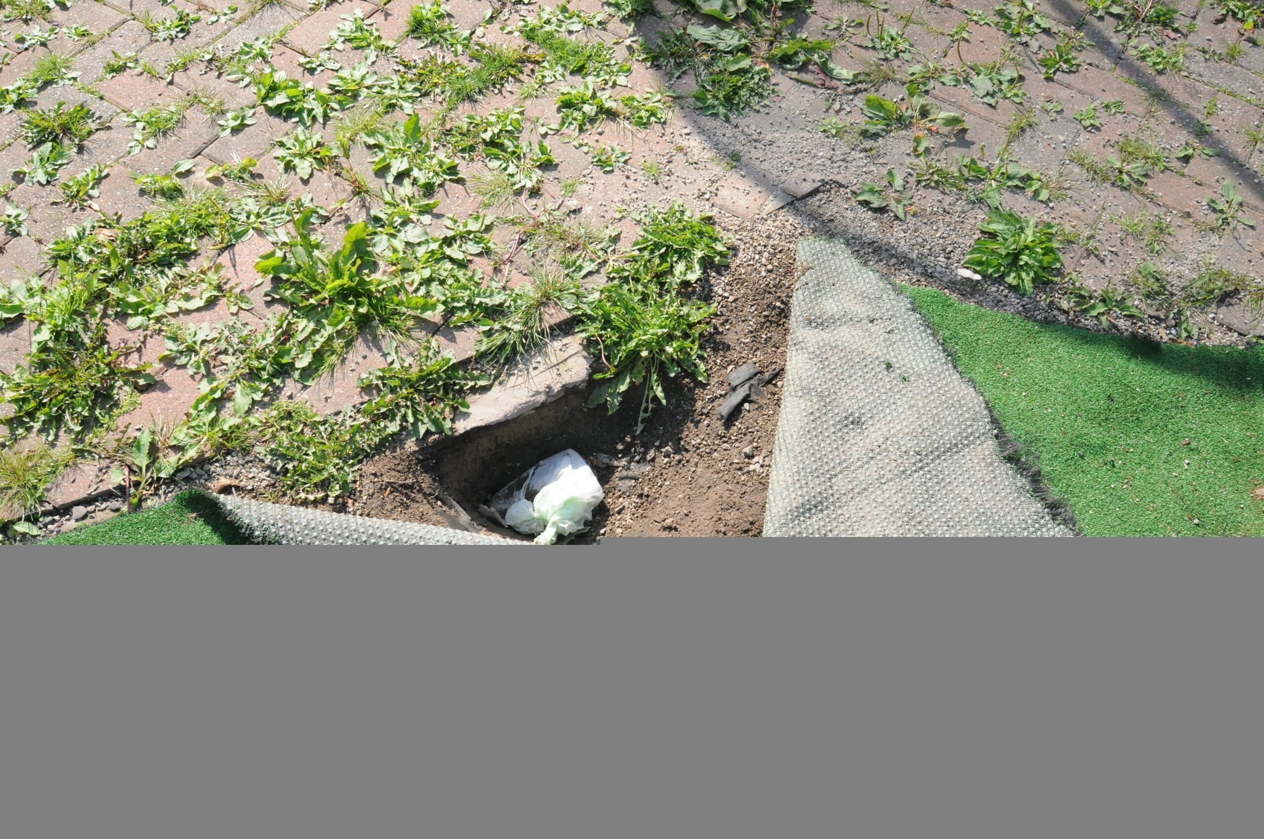 A Man Who Tried To Hide A Loaded Handgun Under Artificial Grass In A Garden Has Been Jailed For Eight Years After Officers Stormed A House And Discovered It As Part Of A Crackdown On Gun Crime