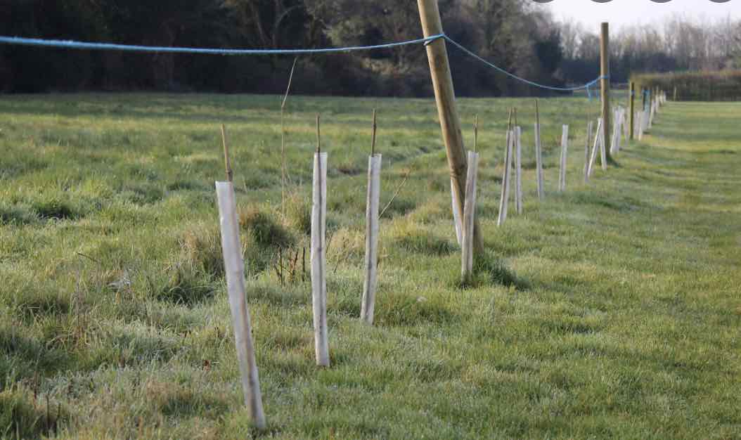 Witnesses Are Being Urged To Come Forward Following A Report Of A Sexual Assault In Canterbury