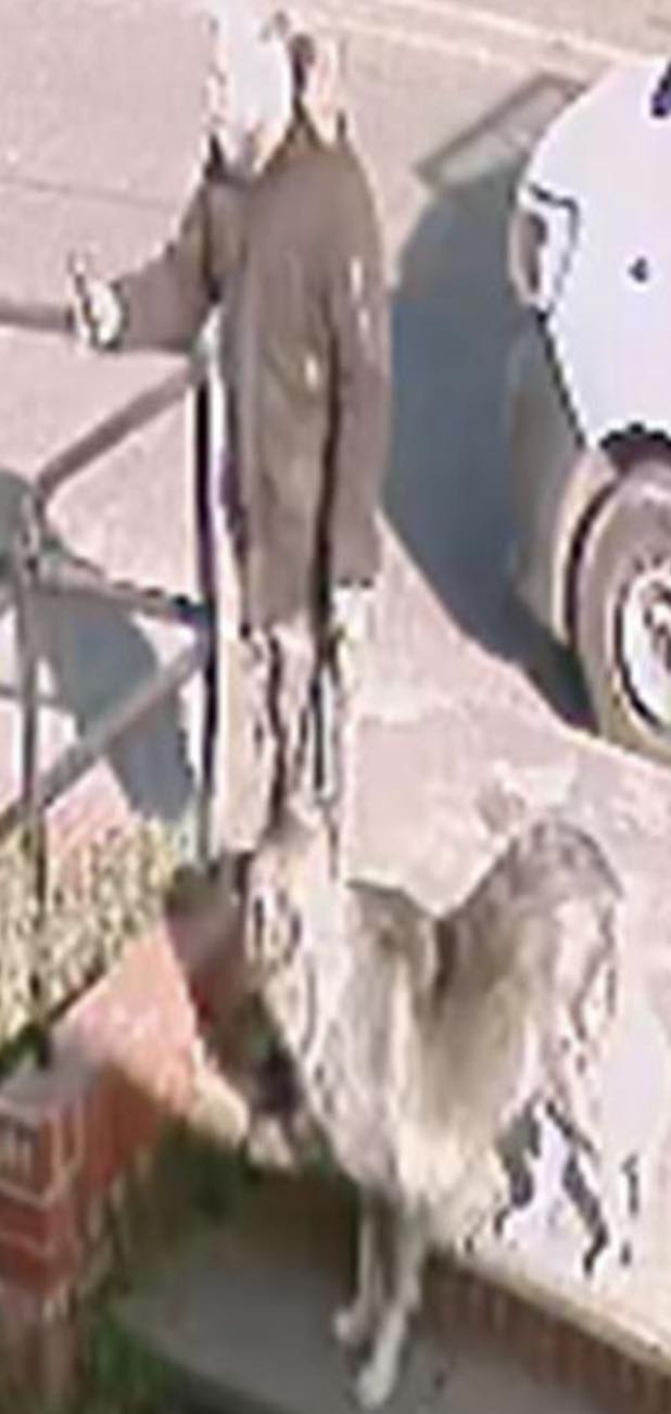 Officers investigating an assault in Herne Bay have issued a photo of a man they would like to speak to – (ID 525134)