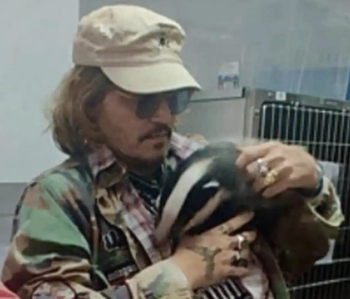 The actor toured the hospital’s care and veterinary units, according to the centre. He even became pals with Freddie the badger