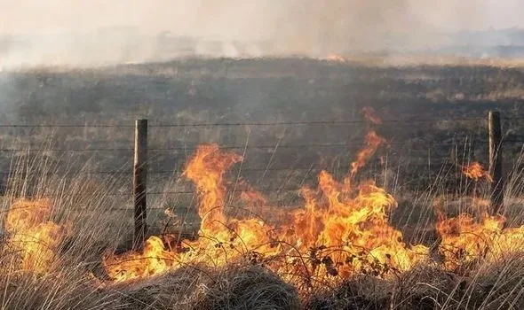 Bonfire Blunder Sparks Field Fire Near Birchington – Firefighters Urge Caution