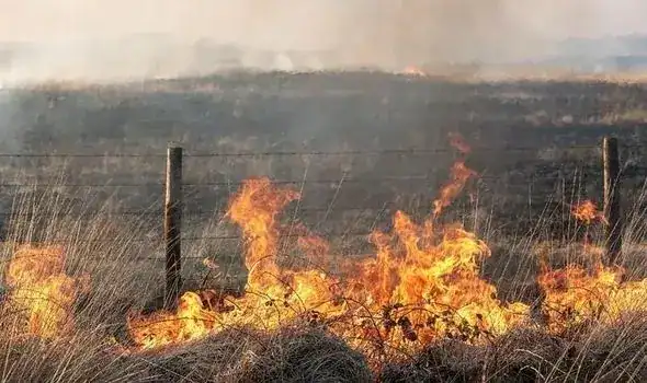 Two fire engines and an all-terrain vehicle were dispatched to the scene, where they discovered a patch of grassland and scrubland on fire.