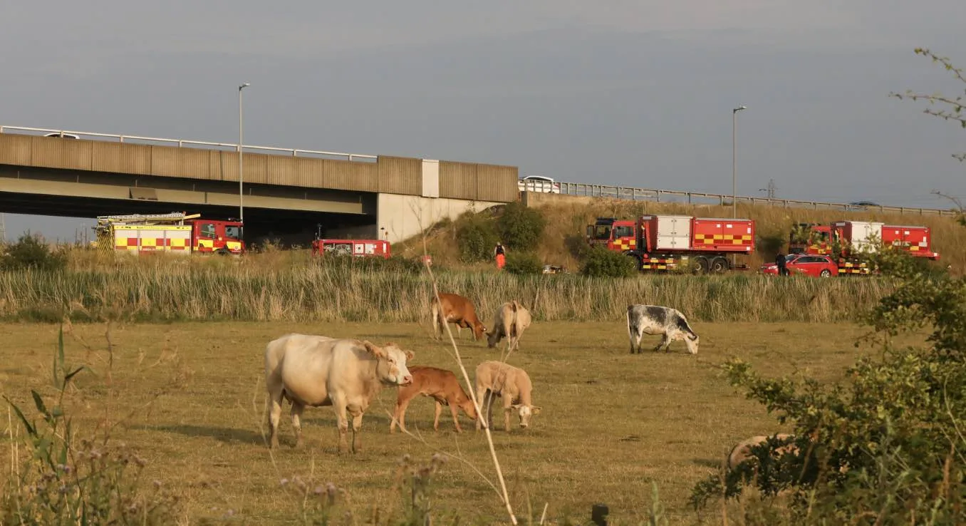 As temperatures rise, 60 thousand people on the Isle of Sheppey have been left without water for a second day. – (ID 528969)