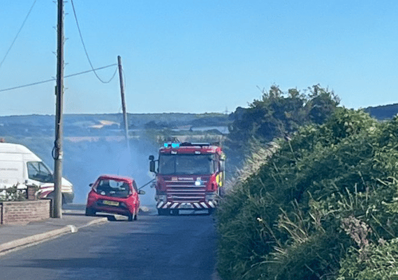 Police Are Probing  A Blaze In A Hedgerow Off Shirehall Road In Hawley, Dartford, That Spread To A Nearby Corn Field