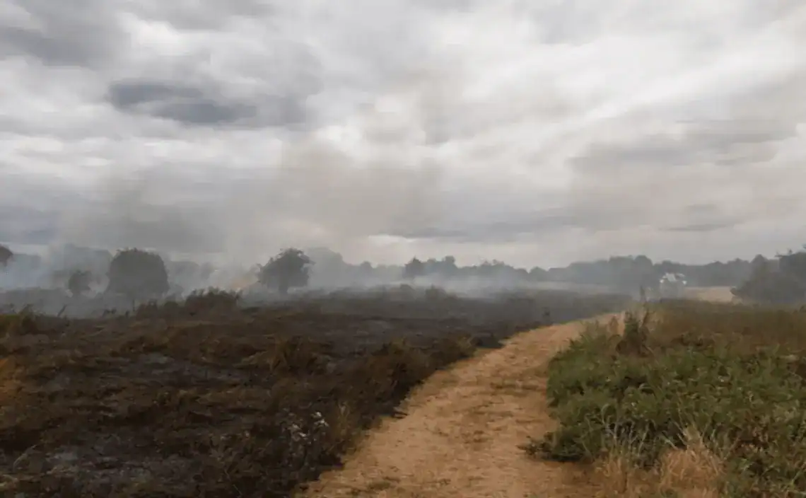 This afternoon, ten fire engines and approximately 70 firefighters battled a grass fire on South Ordnance Road in Enfield