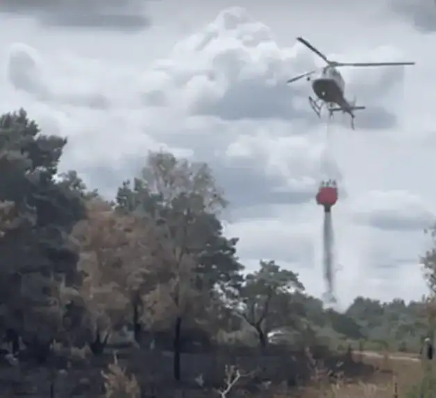 Surrey Wildfire Battles Back: MoD Helicopter’s First-Ever Water Bombing Helps Save Homes