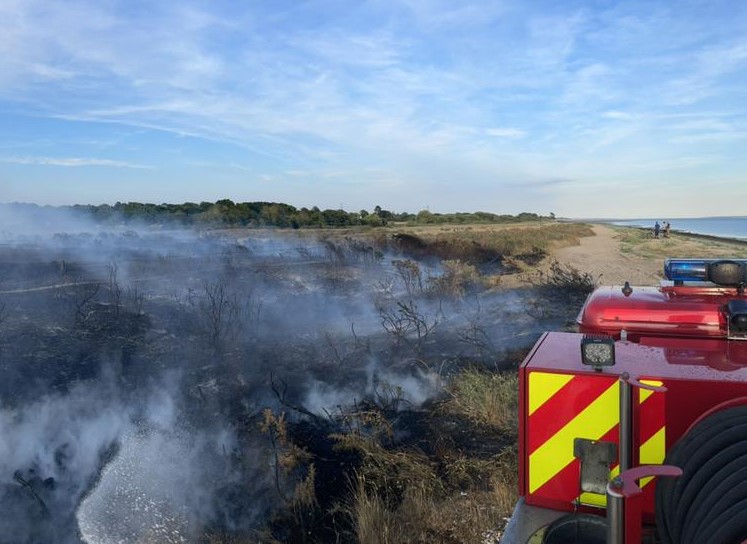 Two large fires in Hampshire’s nature reserves have been extinguished by firefighters from across the county – (ID 529095)