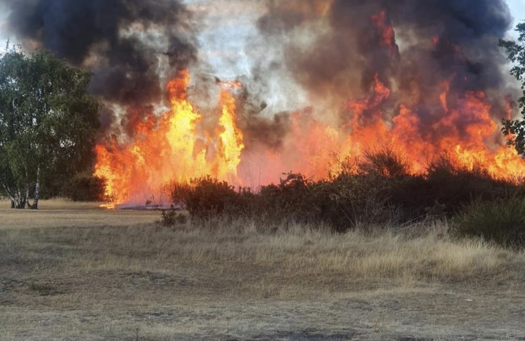 Arson Probe Launched After Dartford Heath Blaze