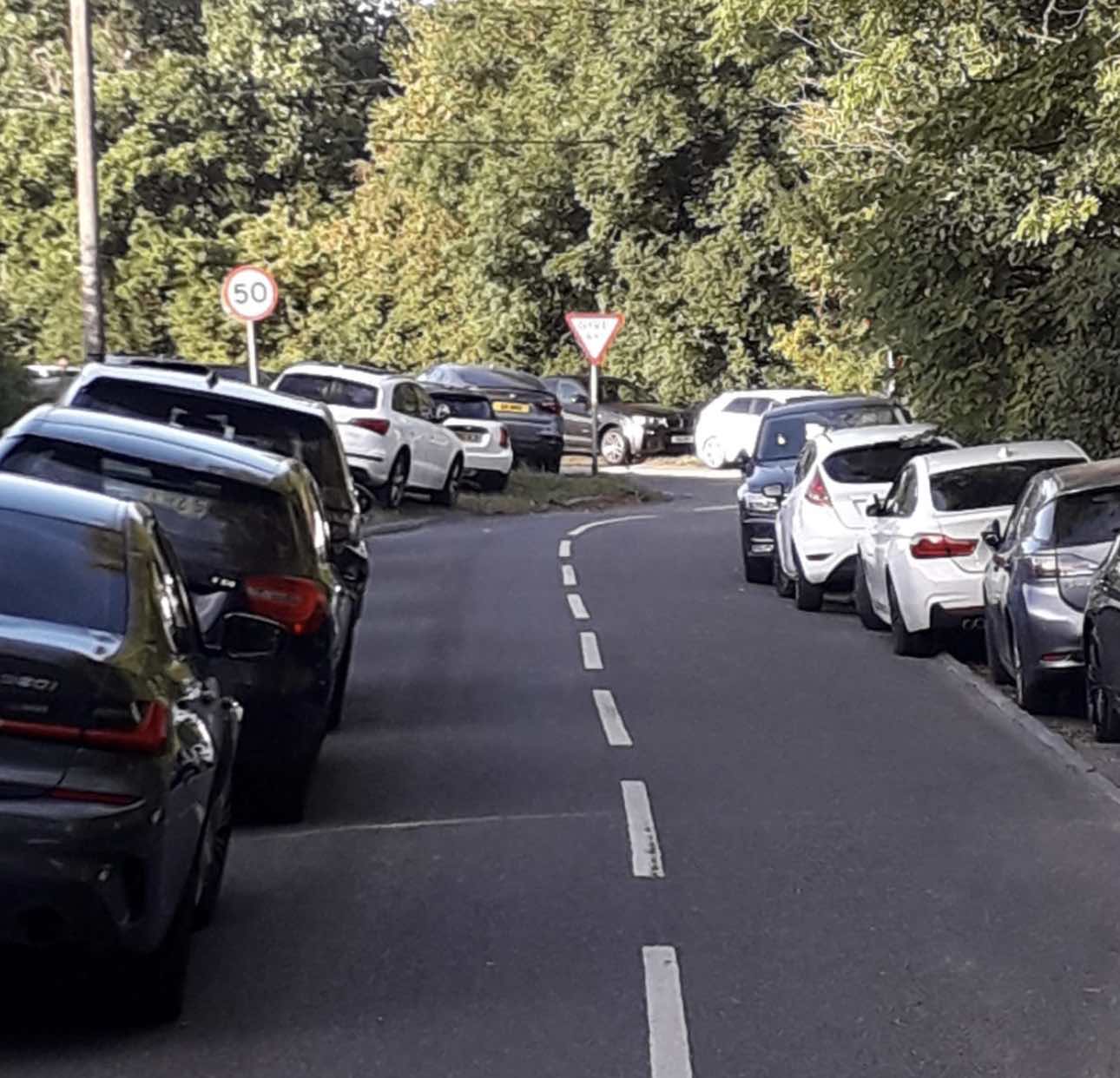 The Police Asked People To Move Their Cars That Had Been Parked Along A22, They Weren't Moved, So The "lingfield Rocks" Festival Has Now Been Stopped