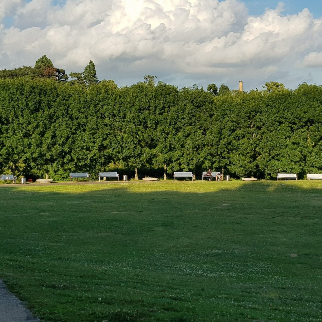 Officers Investigating A Report Of An Assault In Maidstone Are Appealing For Witnesses After An Attack In Whatman Park