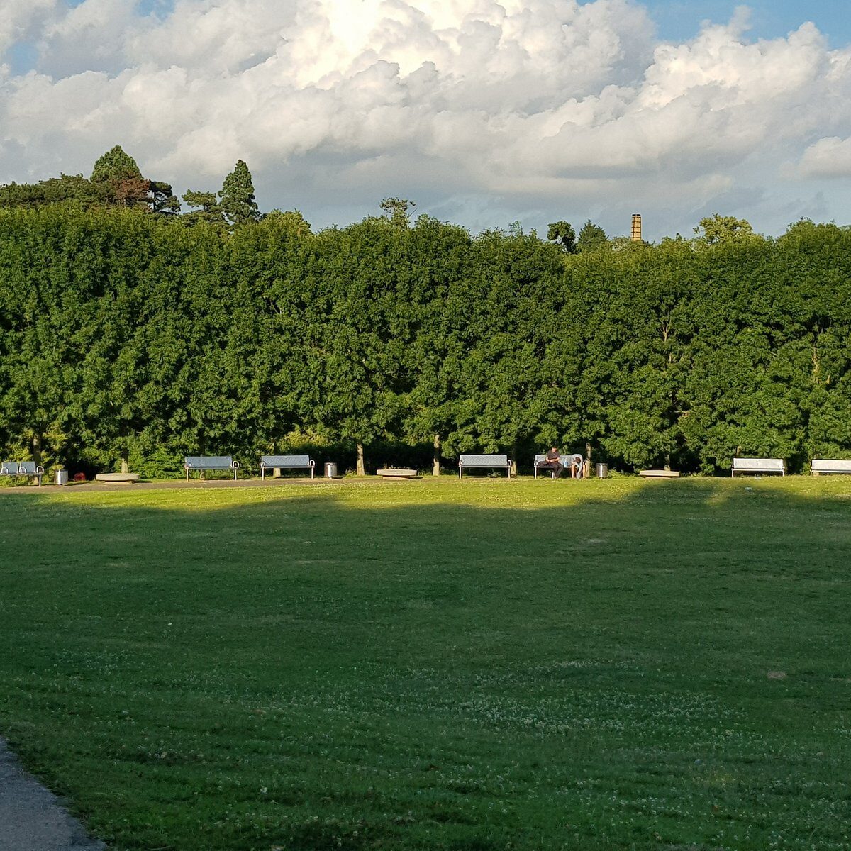 Officers investigating a report of an assault in Maidstone are appealing for witnesses after an attack in Whatman Park – (ID 533438)