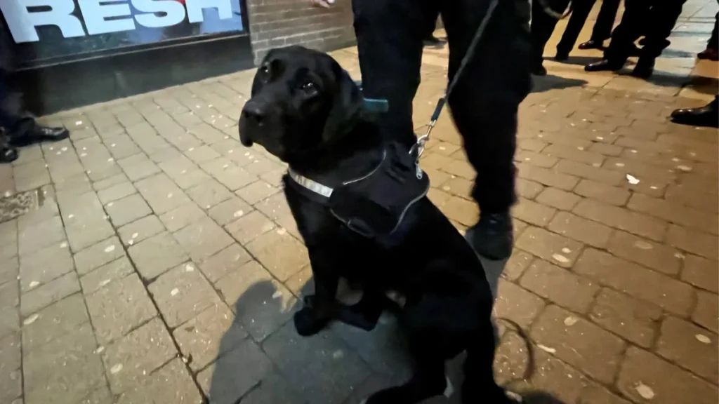 A Man Who Crossed The Road After Spotting A Police Dog Was Stopped By Officers And Found To Be Carrying Drugs