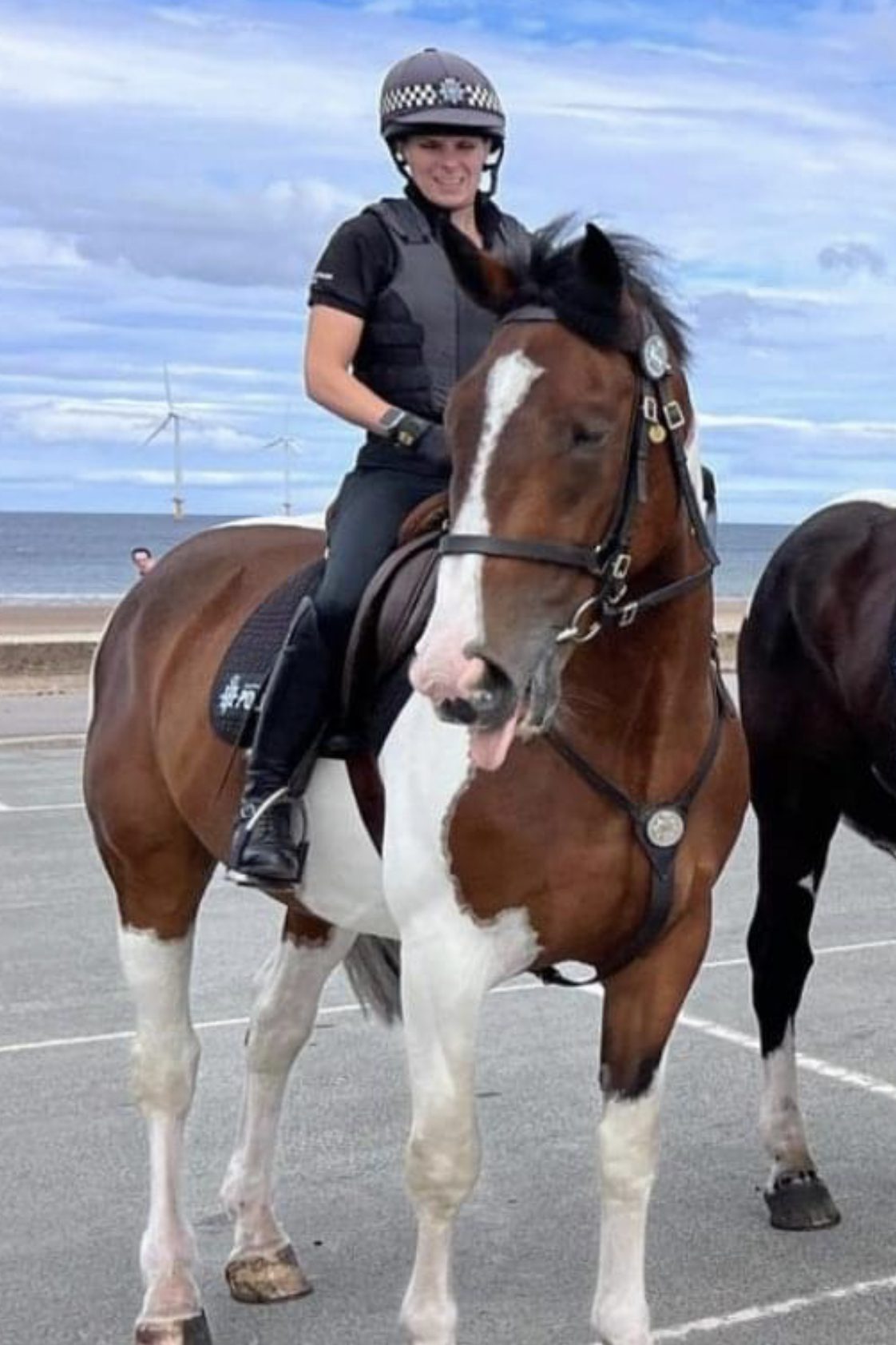 South Yorkshire Police Are Looking For A New Home For One Of Their Horses
