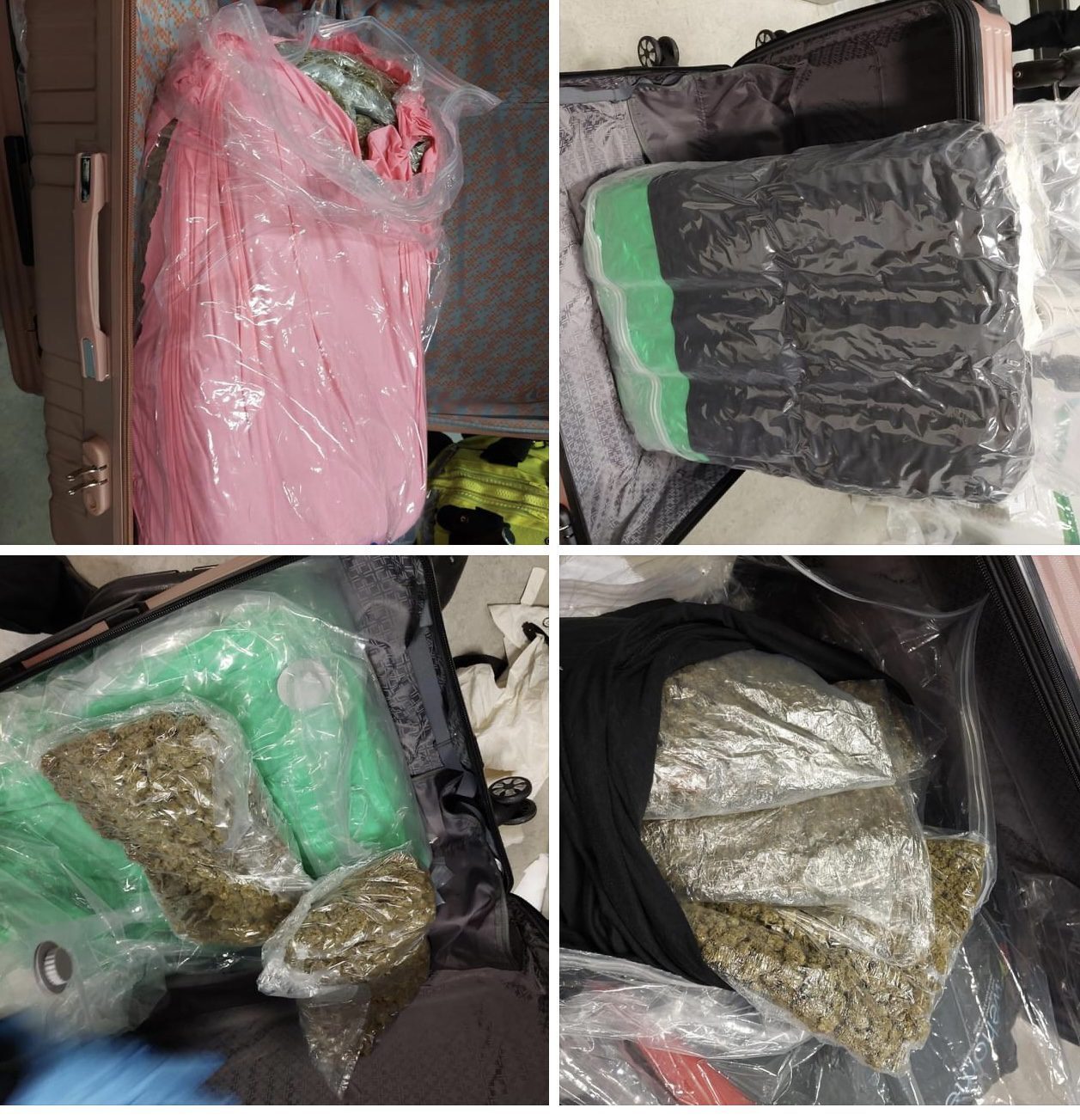 Officers issues a warning to potential drug smugglers following a series of cannabis seizures from passengers flying from Los Angeles in …