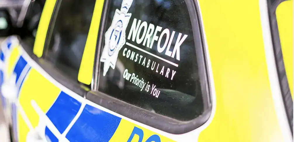 An elderly woman has been killed in a collision
