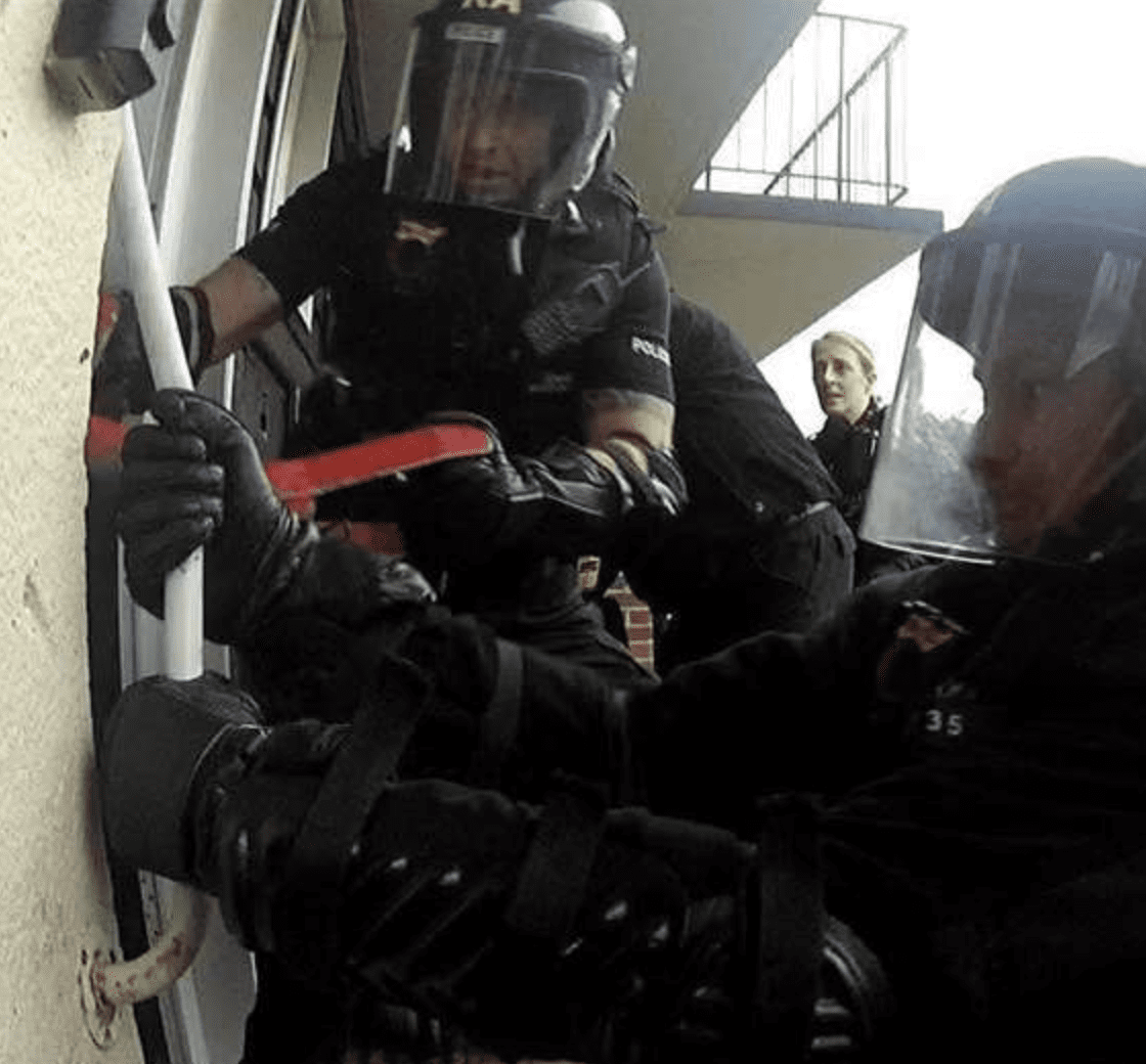 Four Men Arrested After Alleged Animal Welfare And Wildlife Offences