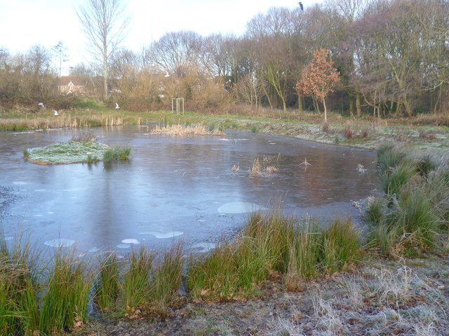 Emergency Services Called A Wooded Area In Sidcup