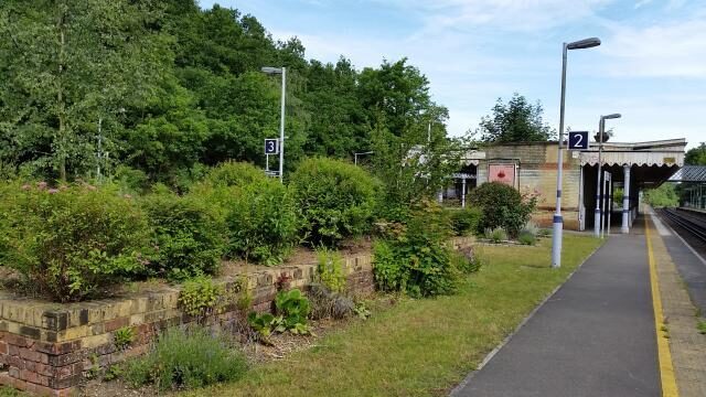The Body Of A 46-year-old Woman Has Been Discovered On A Suburban Road Near A Railway Line