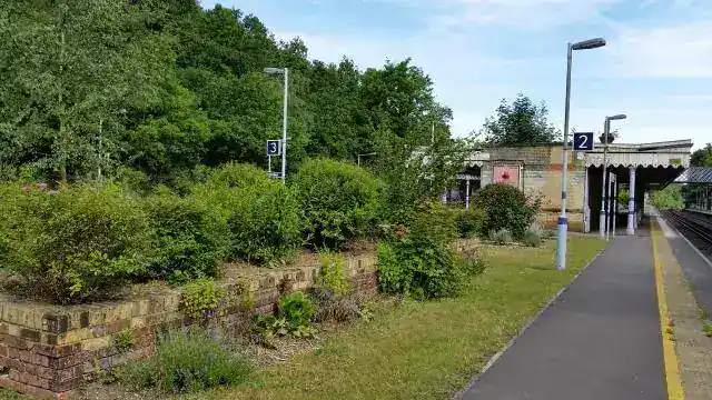 Woman, 46, Found Dead Near Elmstead Woods Station in Chislehurst – Police Launch Urgent Investigation