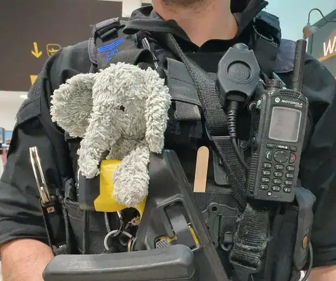 Lost Elephant Nelly Spotted at Gatwick – Police Urge Owner to Come Forward