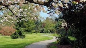 Armed Police Called After Two Were Robbed And Shot In Canon Park