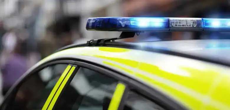 A woman has been given a 12 month driving disqualification after she assaulted a police officer when he attempted to arrest her at the roadside.