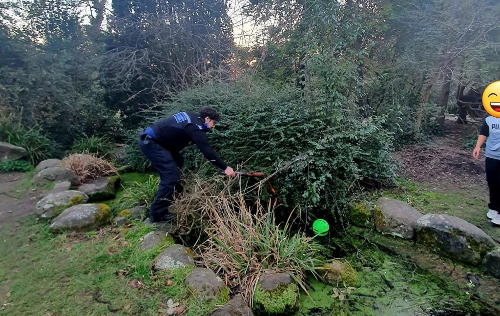 Pcso's Dynamic Risk Assessment Leads To Successful Ball Retrieval Mission