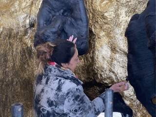 Oldest English Elm Tree Saved From Incineration Turned Into Stunning Art Sculpture In Brighton Park