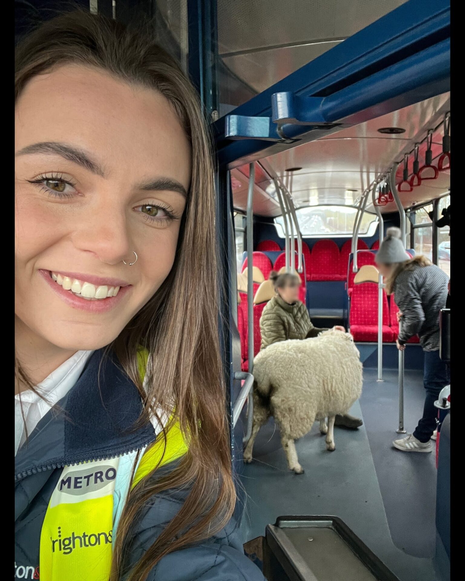 Baa-reaking News: Sheepish Passenger Causes Chaos On Brighton & Hove Bus!