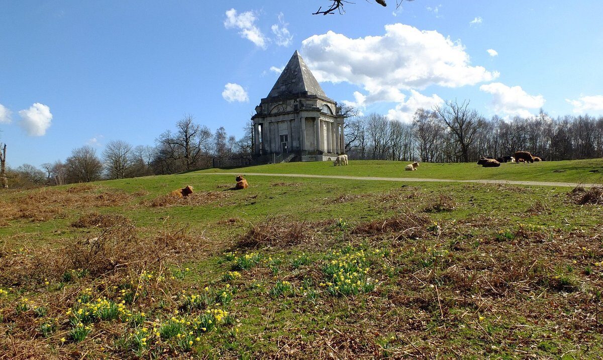 A Deer Was Shot And Killed In The Woods Near Cobham, And Witnesses Are Being Sought