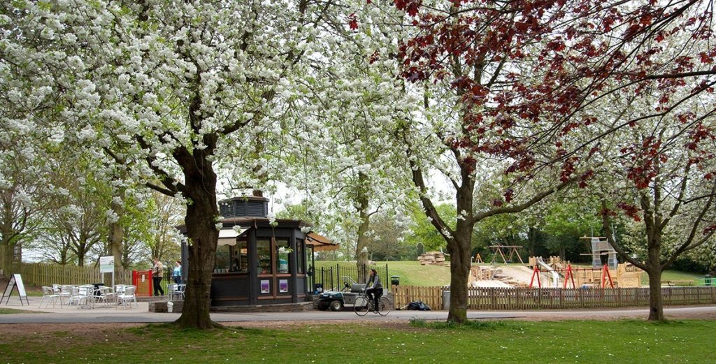 Police Are Appealing For Witnesses After A Woman Was Robbed In Fishponds