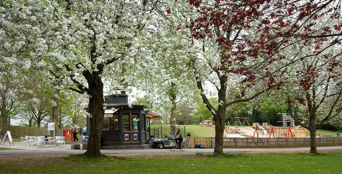 Police are appealing for witnesses after a woman was robbed in Fishponds