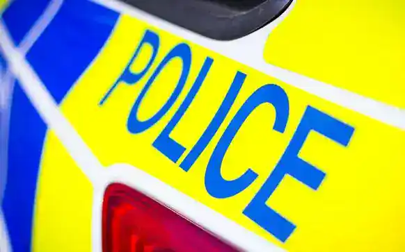 Teenage boy fights off attempted robbery on Horley high street