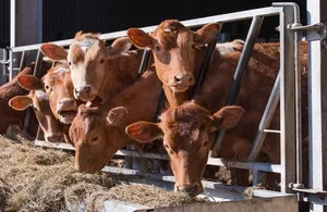 £9.13 Million Awarded To Develop Cutting-edge Farming Technology