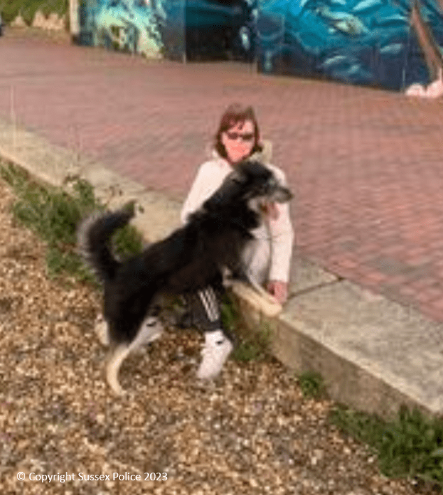 Woman Sought By Police After Dog Attack On Eastbourne Seafront
