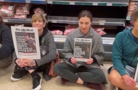 Animal Rebellion Disrupts Brighton Supermarket To Raise Awareness About Animal Cruelty