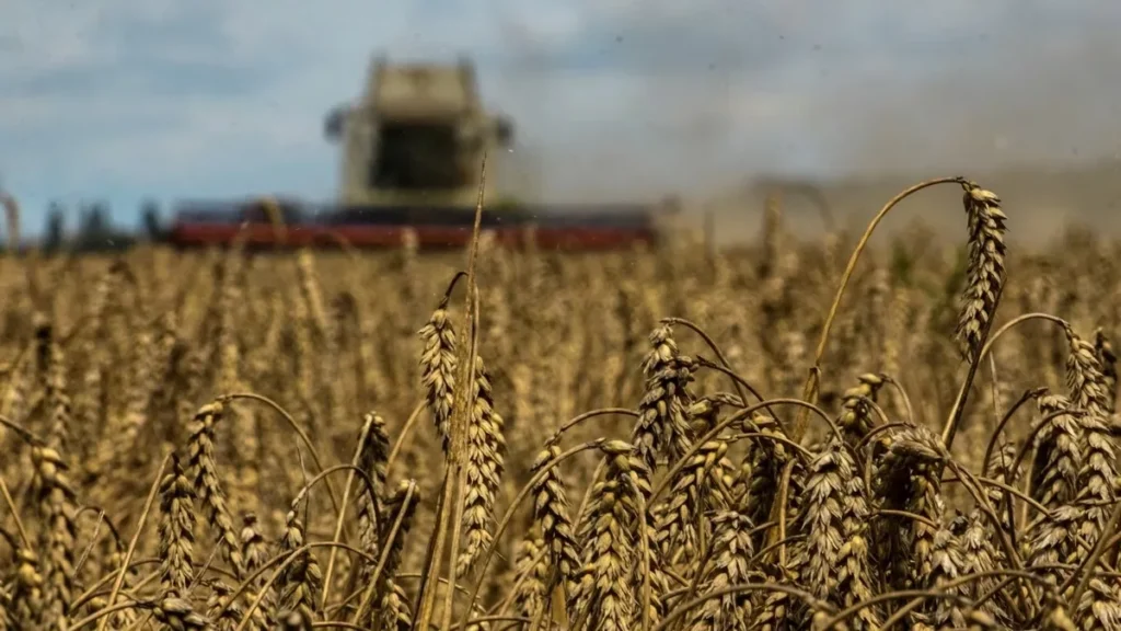 The Recent Ban On Ukrainian Grain Imports By Poland And Hungary Has Been Rejected By The European Commission