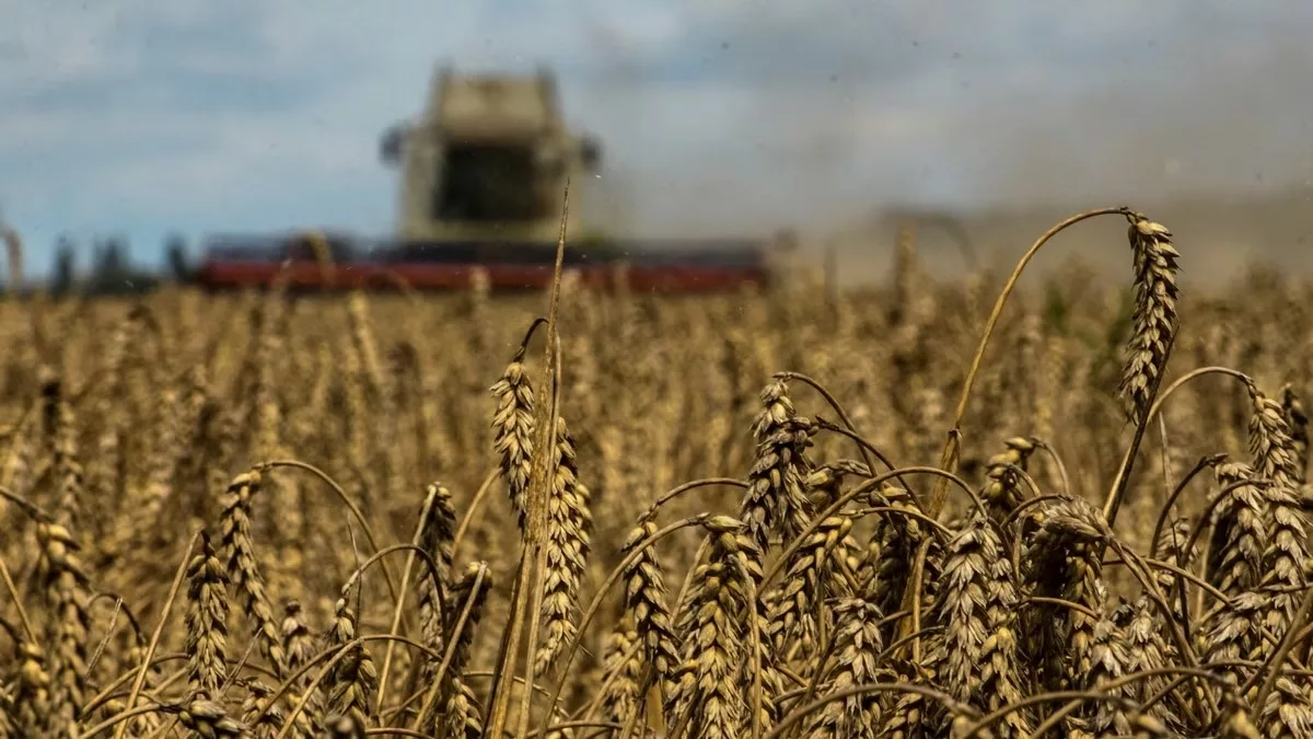The Recent Ban On Ukrainian Grain Imports By Poland And Hungary Has Been Rejected By The European Commission