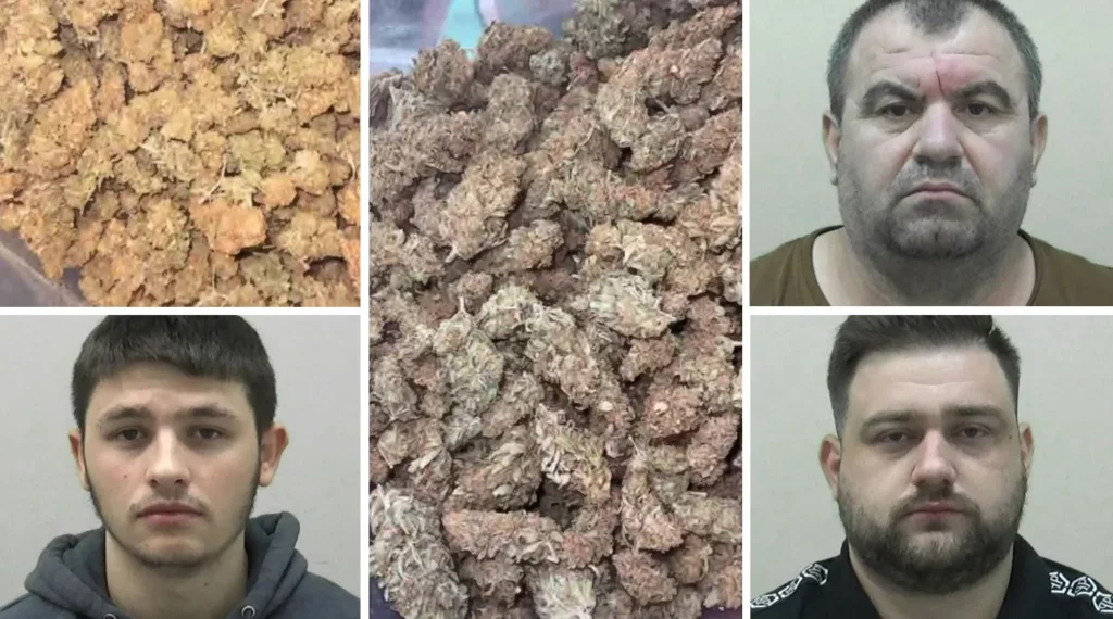 Cannabis Farmers Caught Live Streaming Their Industrial Unit Stocked With More Than £800,000 Worth Of Drugs Have Been Jailed