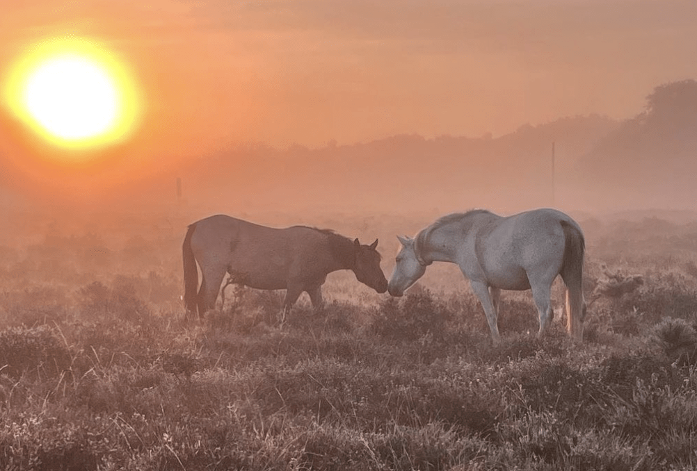 Britain's Most Instagrammable Tourist Destinations: Ranked By Hashtags