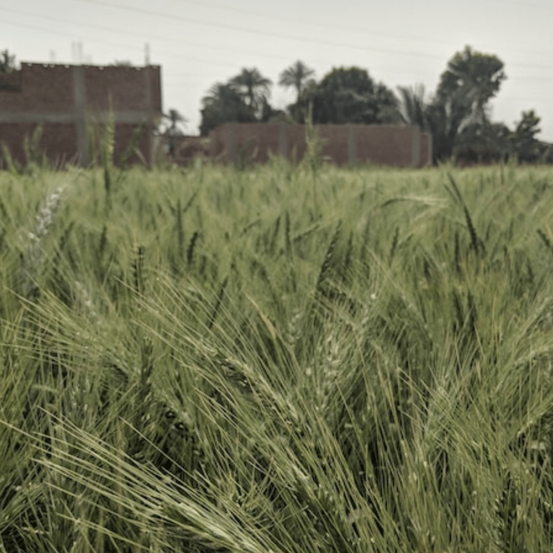 Israeli Military Raid In Tulkarem Refugee Camp Leaves Two Palestinians Dead