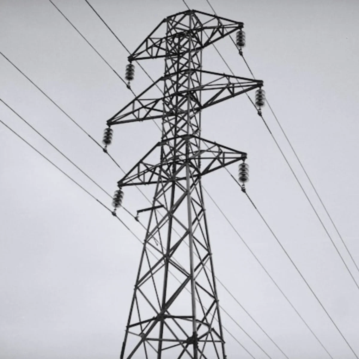 Mps Call For Urgent Support For Households Facing Looming Winter Energy Crisis