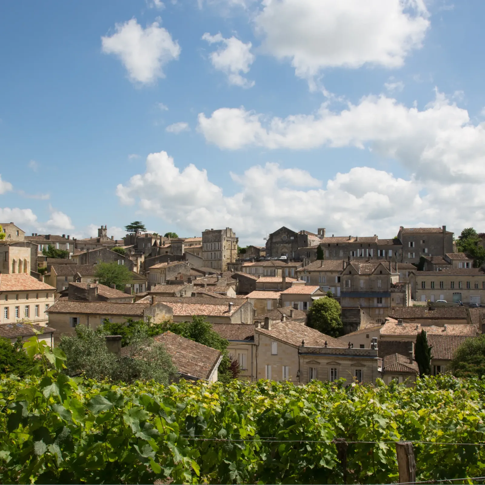 Investigation Opened Following Alleged Rape Of Irish Rugby Supporter In Bordeaux During Rugby World Cup