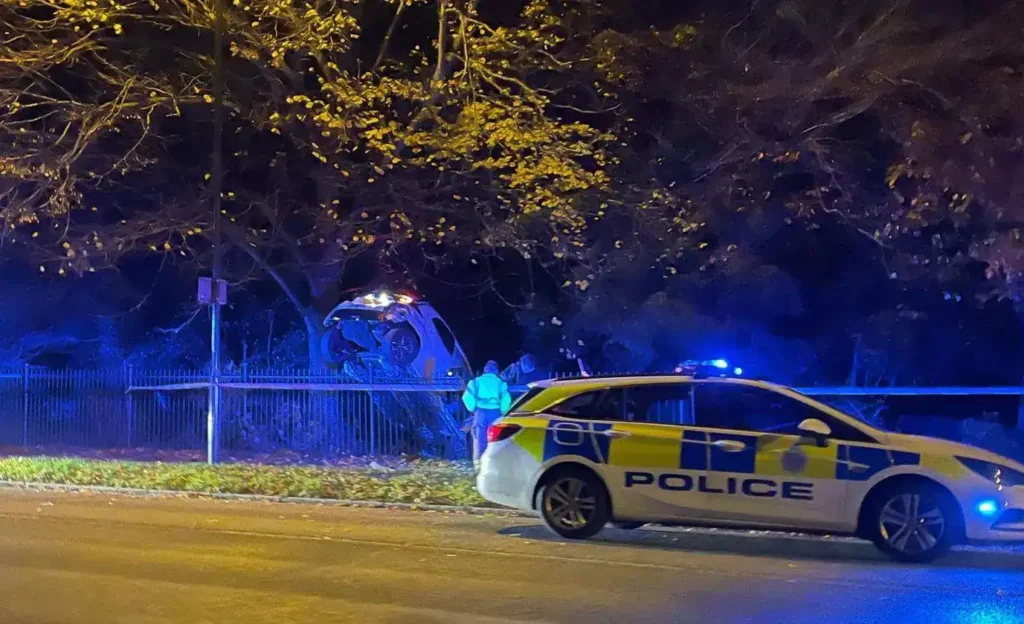 Car Takes Off And Lands In Horsham Park