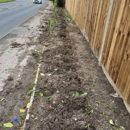Laurel-less In Crawley: Thieves Uproot Bushes From Unsuspecting Victim