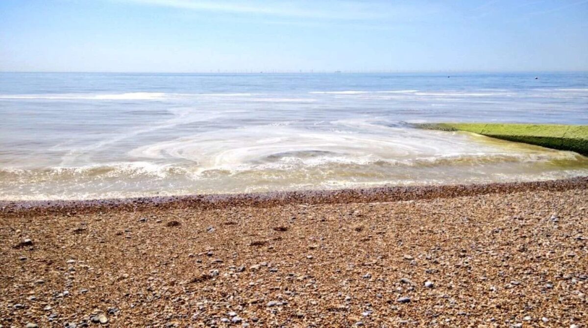 Marine Algae or Sewage? Brighton & Hove Seafront Team Clarifies Common Misconceptions
