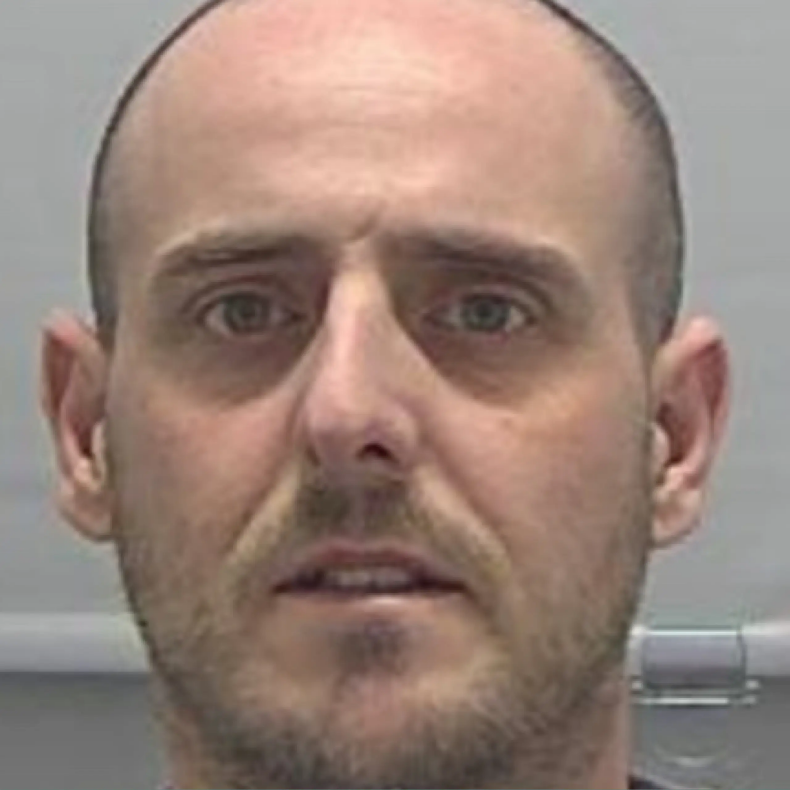 Biggleswade Man Matthew Waddell Jailed for Brutal Murder of Partner Sarah Albone